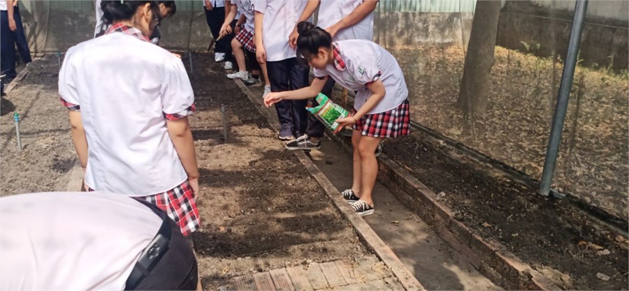 Nhấn vào ảnh để phóng to